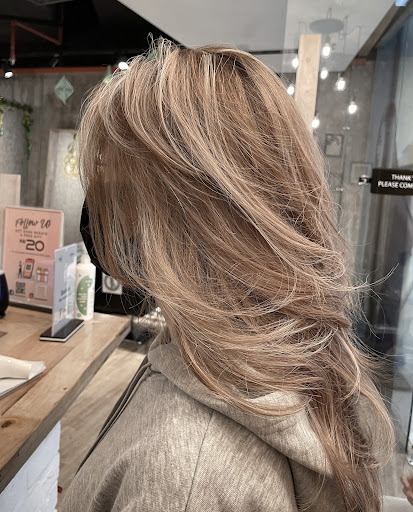 Sense3 Hair Studio by H-Design Sense3 Hair Studio by H-Design