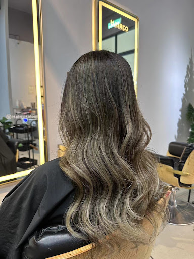 HairCo Sungai Petani HairCo Sungai Petani