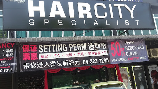 Hair City Specialist Premium Hair City Specialist Premium