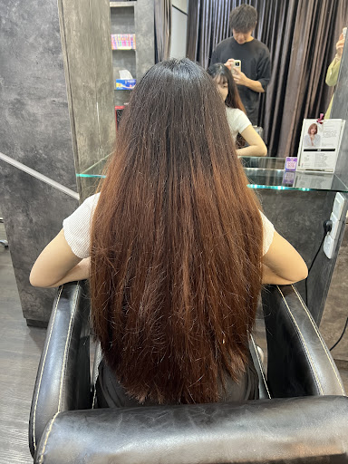 Hair City Specialist Premium Hair City Specialist Premium