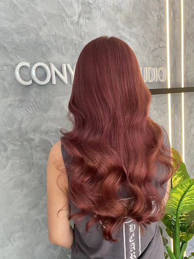 Cony Hair Studio Cony Hair Studio